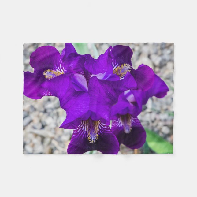Manta Polar Hermoso iris morado (Frente (Horizontal))