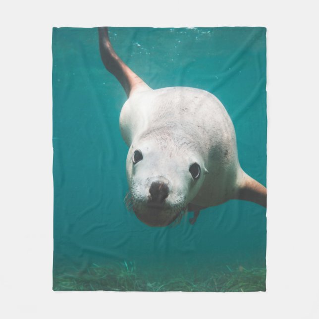 Manta Polar Hermoso león marino (Anverso)