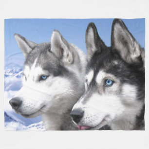 MANTA POLAR HERMOSOS PERROS