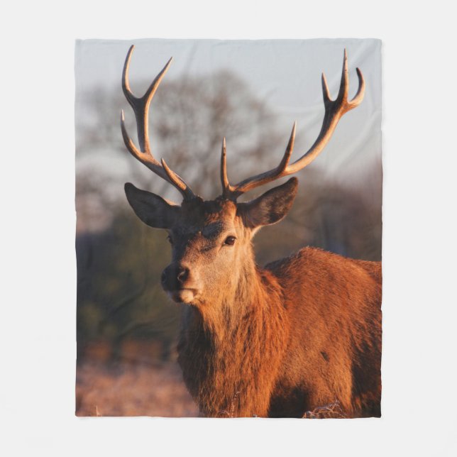 MANTA POLAR HI DEER (Anverso)