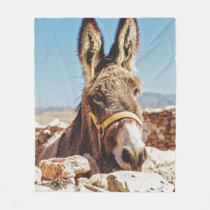 MANTA POLAR HI DONKEY