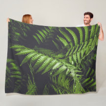 Hojas de helecho verde oscuro botánico acogedor de