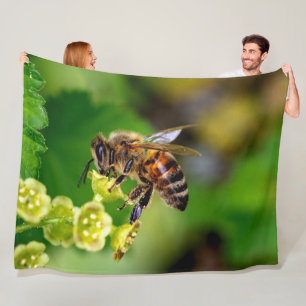 MANTA POLAR HONEY BEE