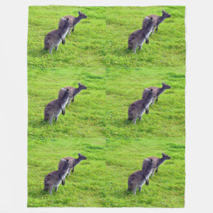 Manta Polar Horizontes sin límites: canguros grises en planici