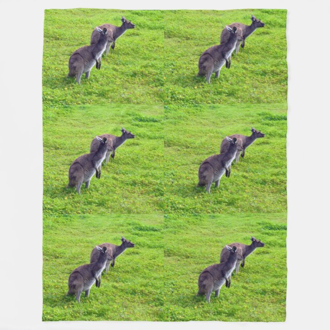 Manta Polar Horizontes sin límites: canguros grises en planici (Anverso)