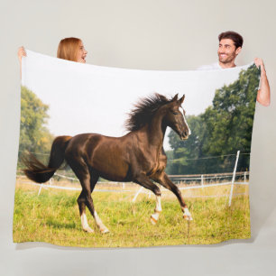MANTA POLAR HORSE