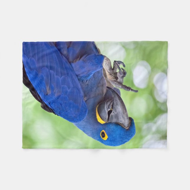 Manta Polar Hyacinth Macaw Bird (Frente (Horizontal))