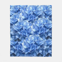 Hydrangea azul