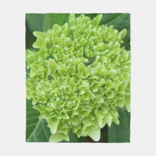 Manta Polar Hydrangea verde
