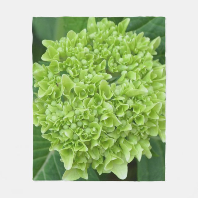 Manta Polar Hydrangea verde (Anverso)