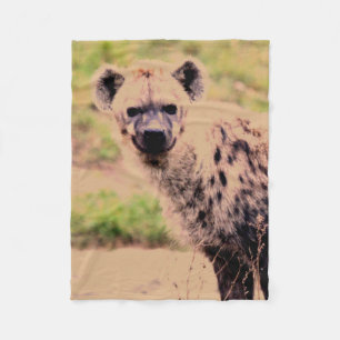 Manta Polar hyena