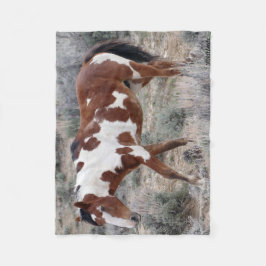 Manta Polar Icono de Picasso del lavabo de la arena, Colorado