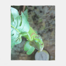 Manta Polar iguana verde