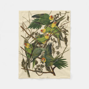 Manta Polar Ilustracion Audubon Carolina Parrot Bird