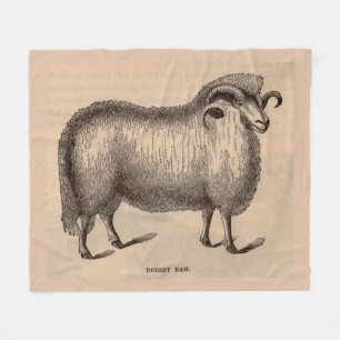 Manta Polar Impresión Dorset ram del siglo XIX