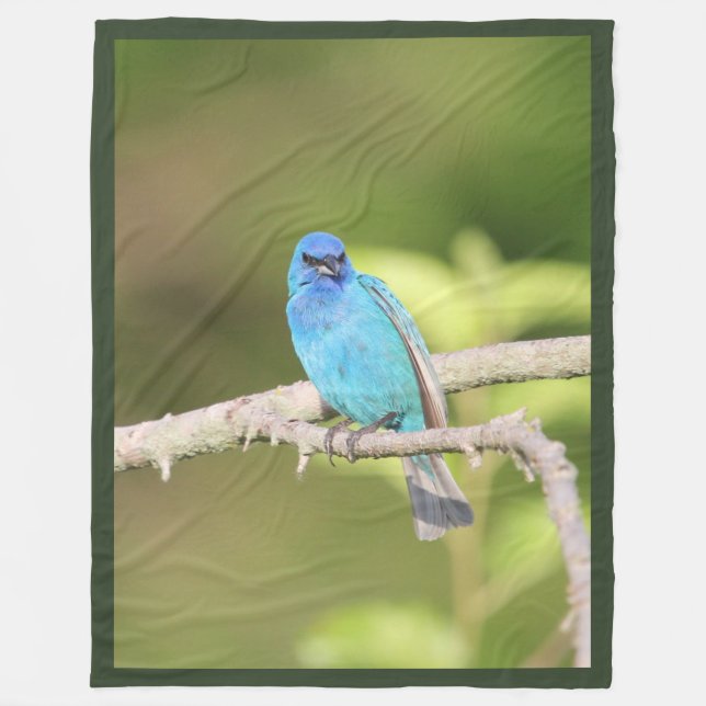 Manta Polar Indigo Bunting (Anverso)
