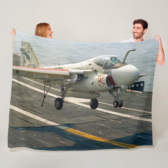 MANTA POLAR INTRUIDOR A-6E (In situ)