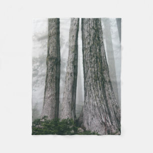 Manta Polar Invocar el bosque