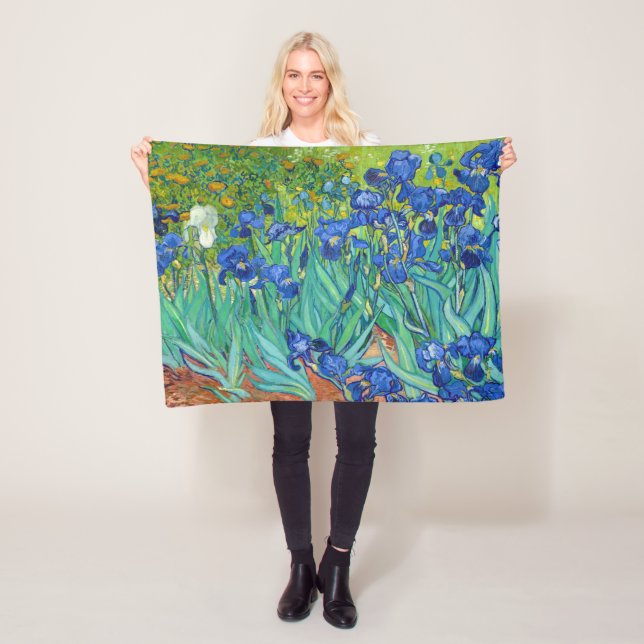 Manta Polar Irises, Vincent van Gogh (In situ)