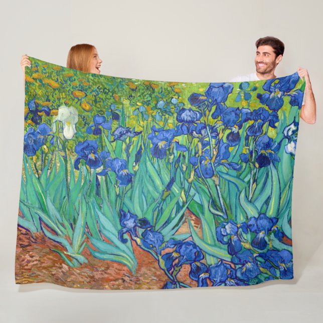 Manta Polar Irises, Vincent van Gogh (In situ)