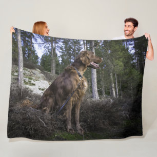 MANTA POLAR IRISH SETTER