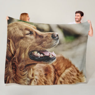 MANTA POLAR IRISH SETTER