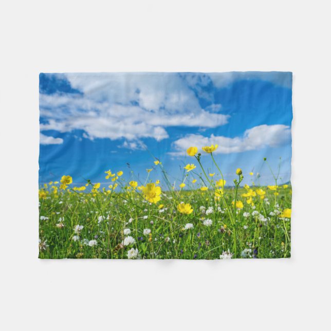 Manta Polar isla de Sudamérica | Escocia (Frente (Horizontal))