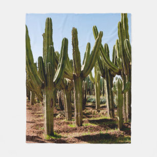 Manta Polar Jardín Cacti. Cactus altos verdes y suculentas cr