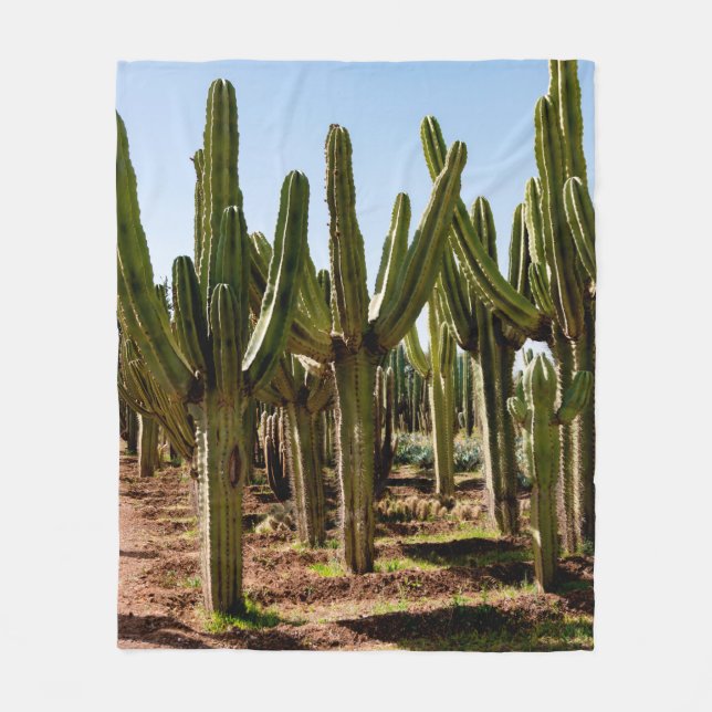 Manta Polar Jardín Cacti. Cactus altos verdes y suculentas cre (Anverso)