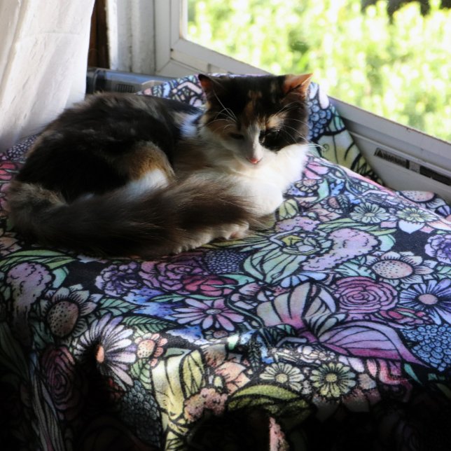 Manta Polar Jardín de hadas (Subido por el creador)