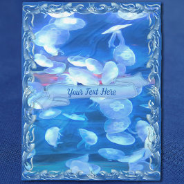 Manta Polar Jellyfish Acuario de San Francisco 0925