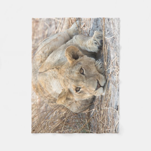 Manta Polar Joven león (Anverso)