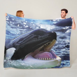 MANTA POLAR KILLER WHALE