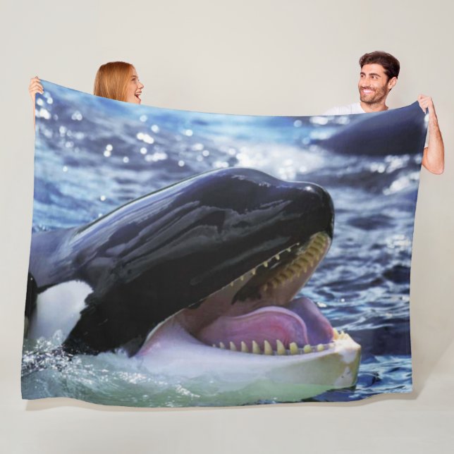 MANTA POLAR KILLER WHALE (In situ)