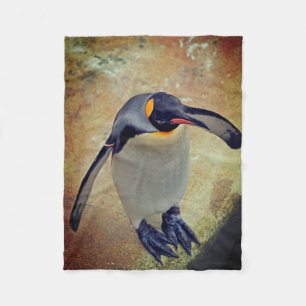 Manta Polar King Penguin Edinburgh Zoo Scotland