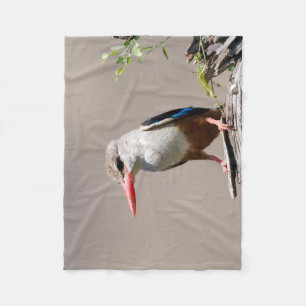Manta Polar Kingfisher de cabeza gris