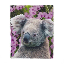 Koala y orquídeas