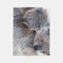 Koalas Grises Esponjosos Lindos
