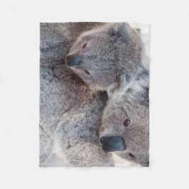 Manta Polar Koalas Grises Esponjosos Lindos