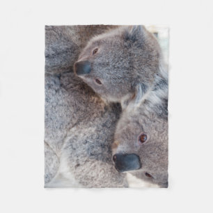Manta Polar Koalas Grises Esponjosos Lindos