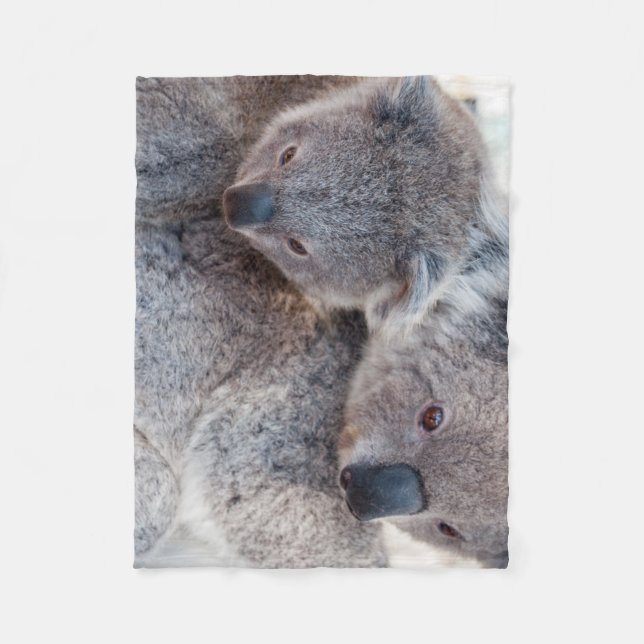 Manta Polar Koalas Grises Esponjosos Lindos (Anverso)