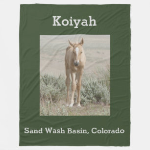 Manta Polar Koiyah