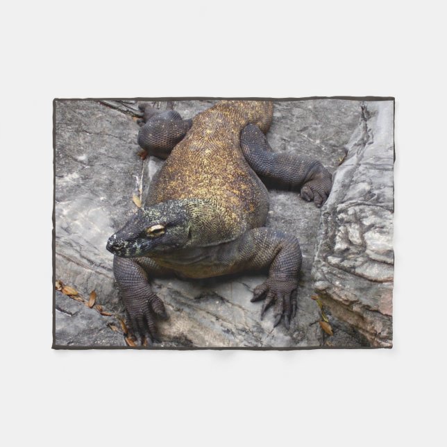 Manta Polar Komodo Dragon Warm Rock Scene (Frente (Horizontal))