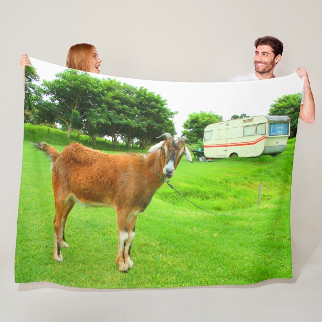 MANTA POLAR LA CABALLERÍA QUIRKY (In situ)