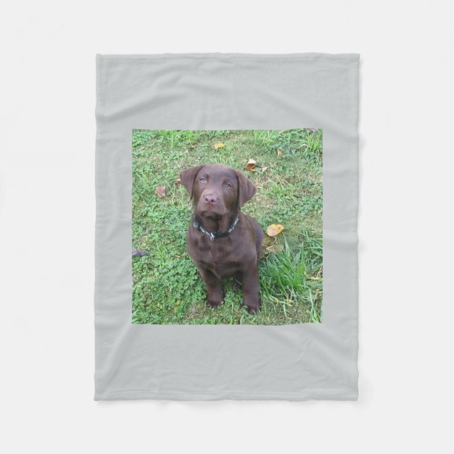 Manta Polar laboratorio pup.png del chocolate (Anverso)