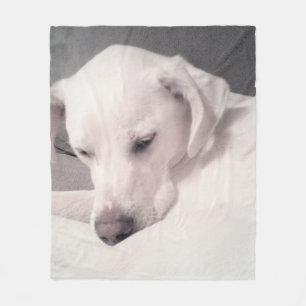 Manta Polar Labrador blanco tierro tierno mezclar medio gris p