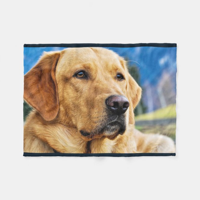 Manta Polar Labrador retriever de oro (Frente (Horizontal))