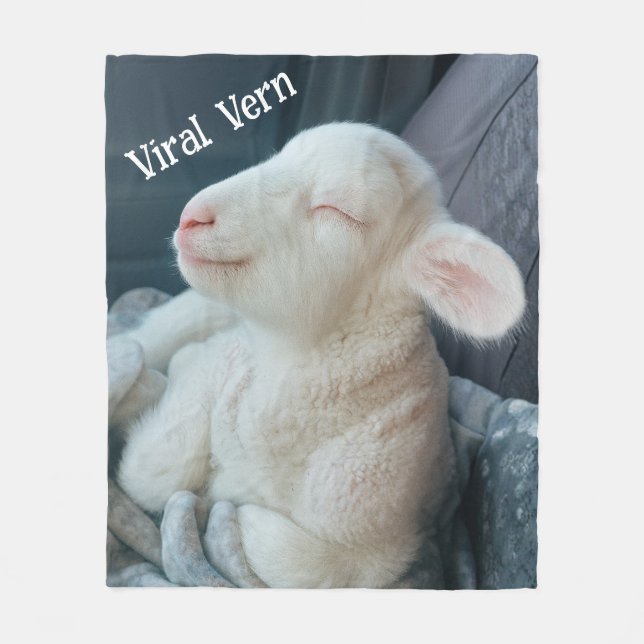 Manta Polar Lamb Viral Vern Sweet Personality  (Anverso)