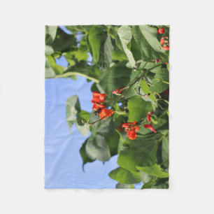 Manta Polar Leafy Bean