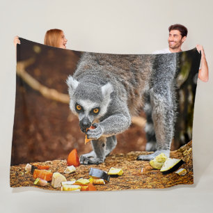 MANTA POLAR LEMUR
